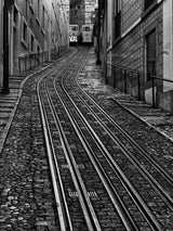 Trams in Lisbon Poster och Canvastavla