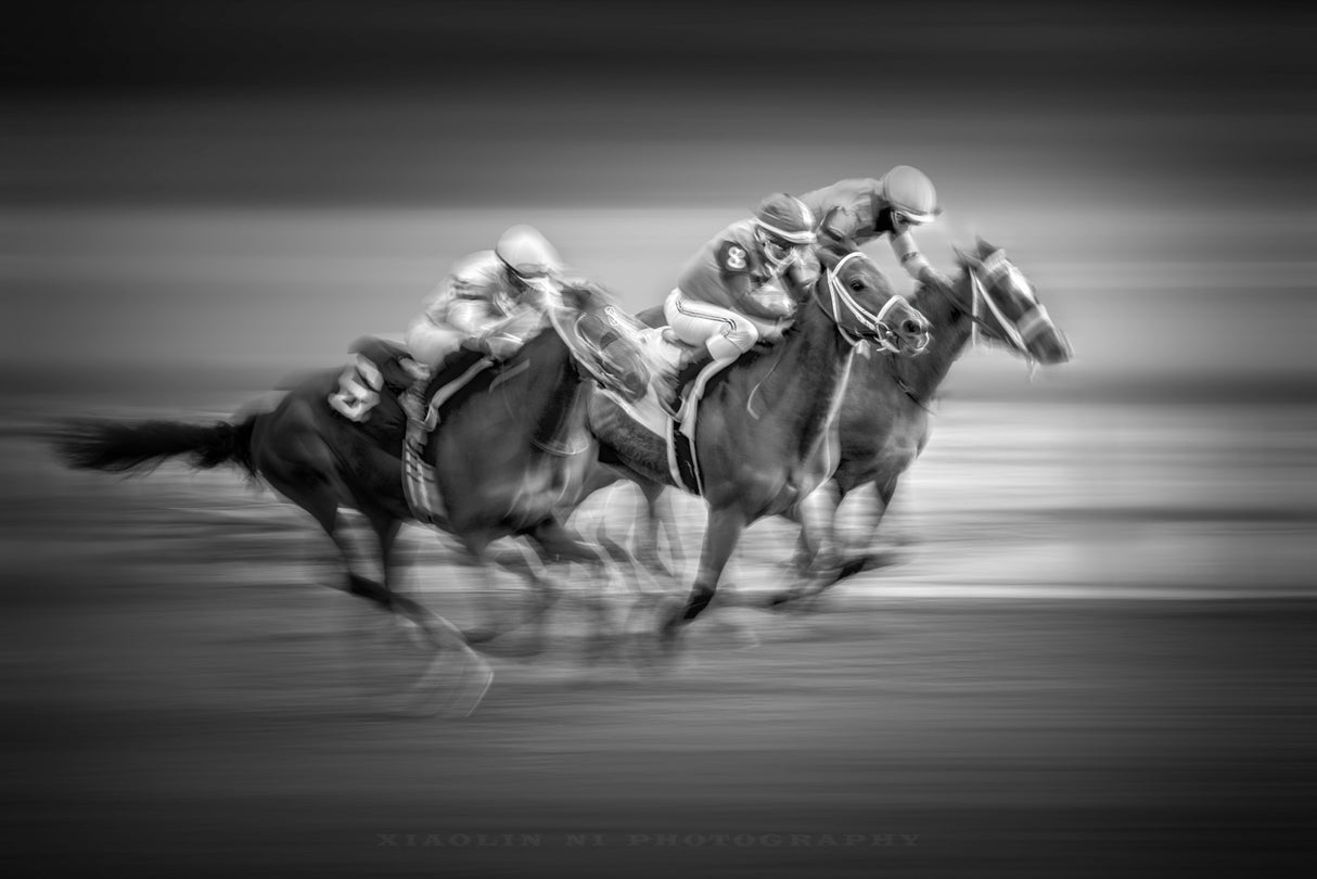 Horse Race Poster och Canvastavla
