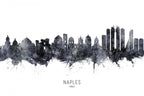 Naples Italy Skyline Poster och Canvastavla
