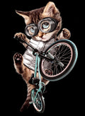 bmx cat Poster och Canvastavla