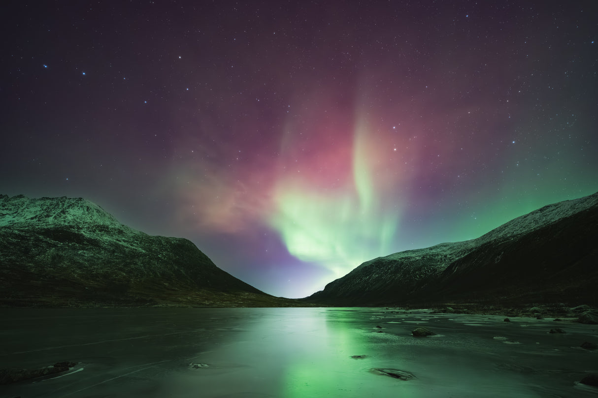 Aurora Poster och Canvastavla