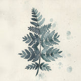 Teal watercolor fern 1 Poster och Canvastavla