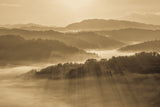 Golden Morning Light Poster och Canvastavla