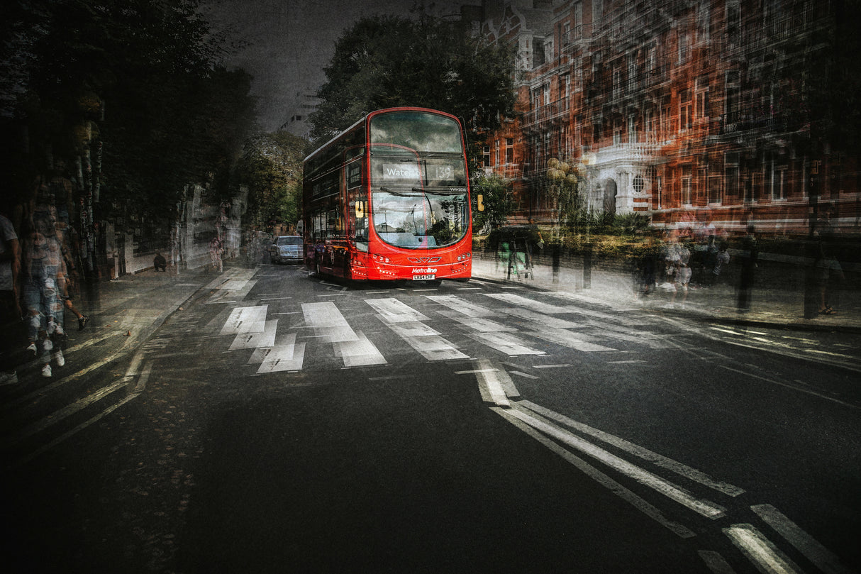 red bus Poster och Canvastavla