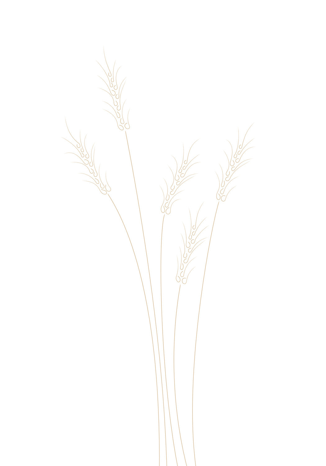 Wheat Grass Poster och Canvastavla
