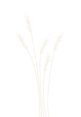 Wheat Grass Poster och Canvastavla