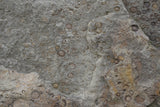 Tex Surface S26 Poster och Canvastavla