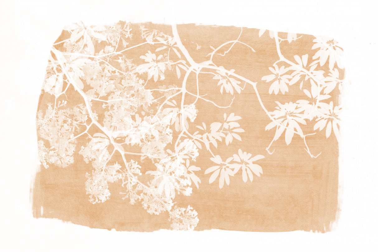 Orange Tree Foliage Silhouette Poster och Canvastavla