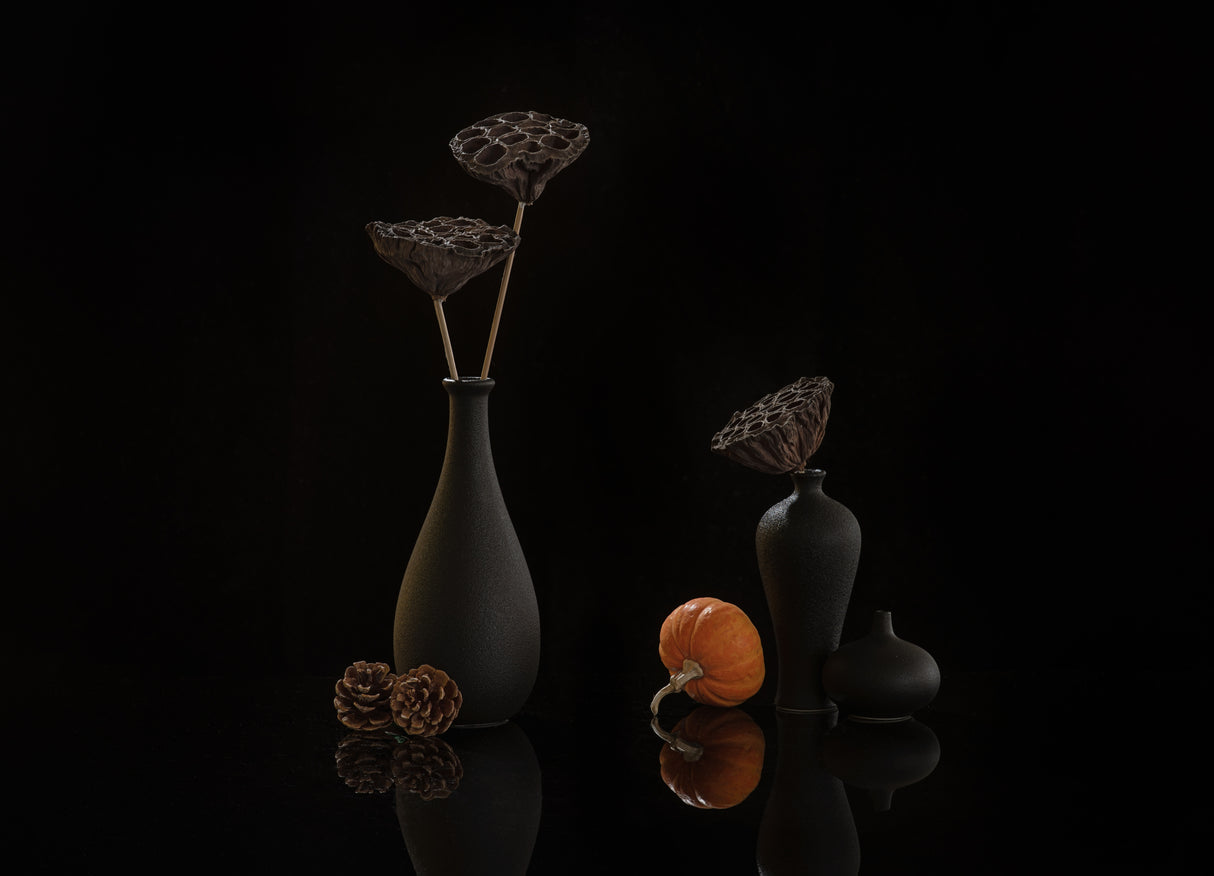 still life 108 Poster och Canvastavla