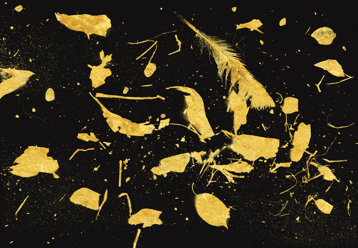 Gold Dust Poster och Canvastavla