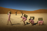 Darwin don´t think about this Poster och Canvastavla