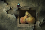 Butterfly still life Poster och Canvastavla