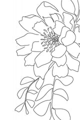 Loli peony line art Poster och Canvastavla