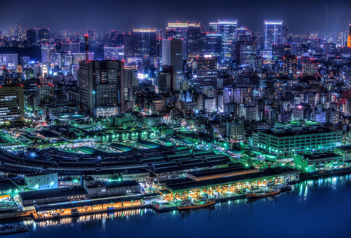 Tokyo Poster och Canvastavla