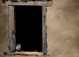 How much is that kitty in the window Poster och Canvastavla