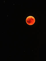 luna Poster och Canvastavla