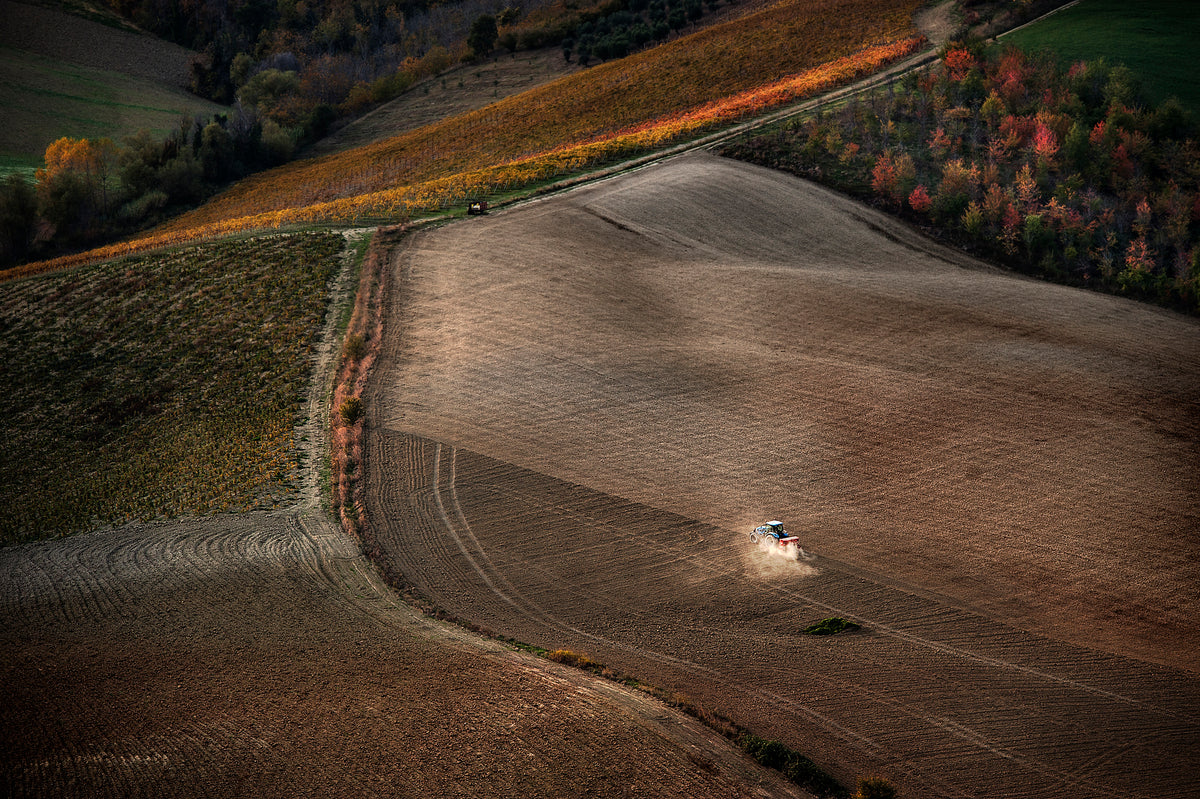 November fields Poster och Canvastavla