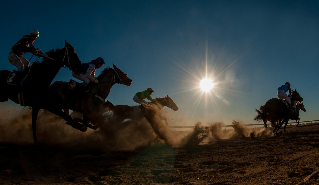 Betoota Flying Through The Dust Poster och Canvastavla