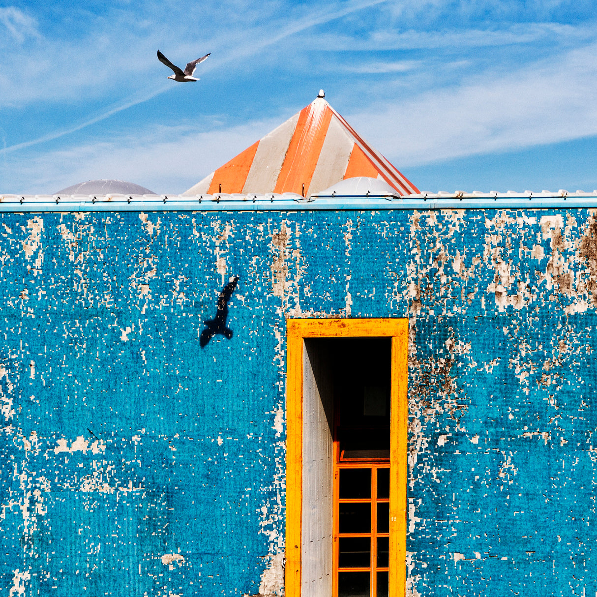 The Seagull Poster och Canvastavla