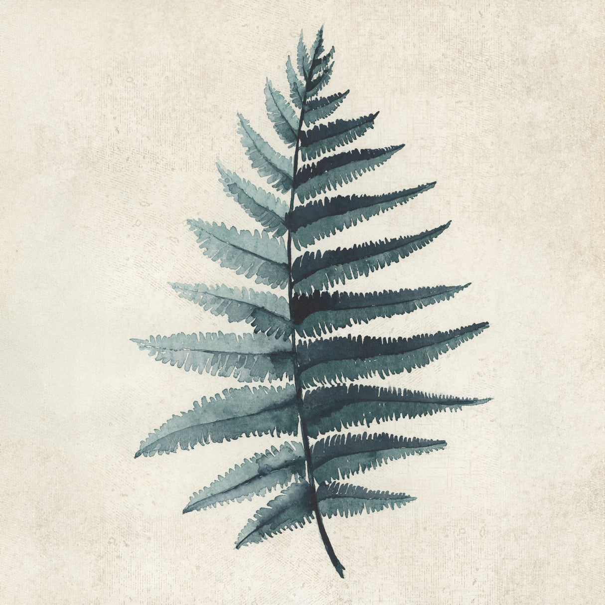 Teal watercolor fern 5 Poster och Canvastavla