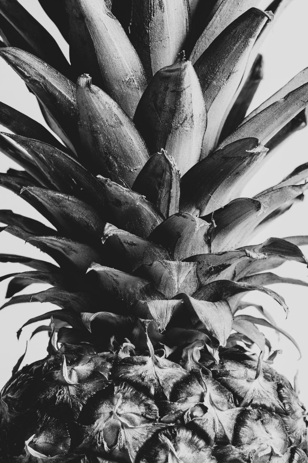 Pineapple Close Up 02 Poster och Canvastavla