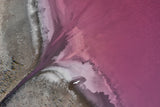 Pink flight Poster och Canvastavla