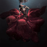 The Lady in Red Poster och Canvastavla