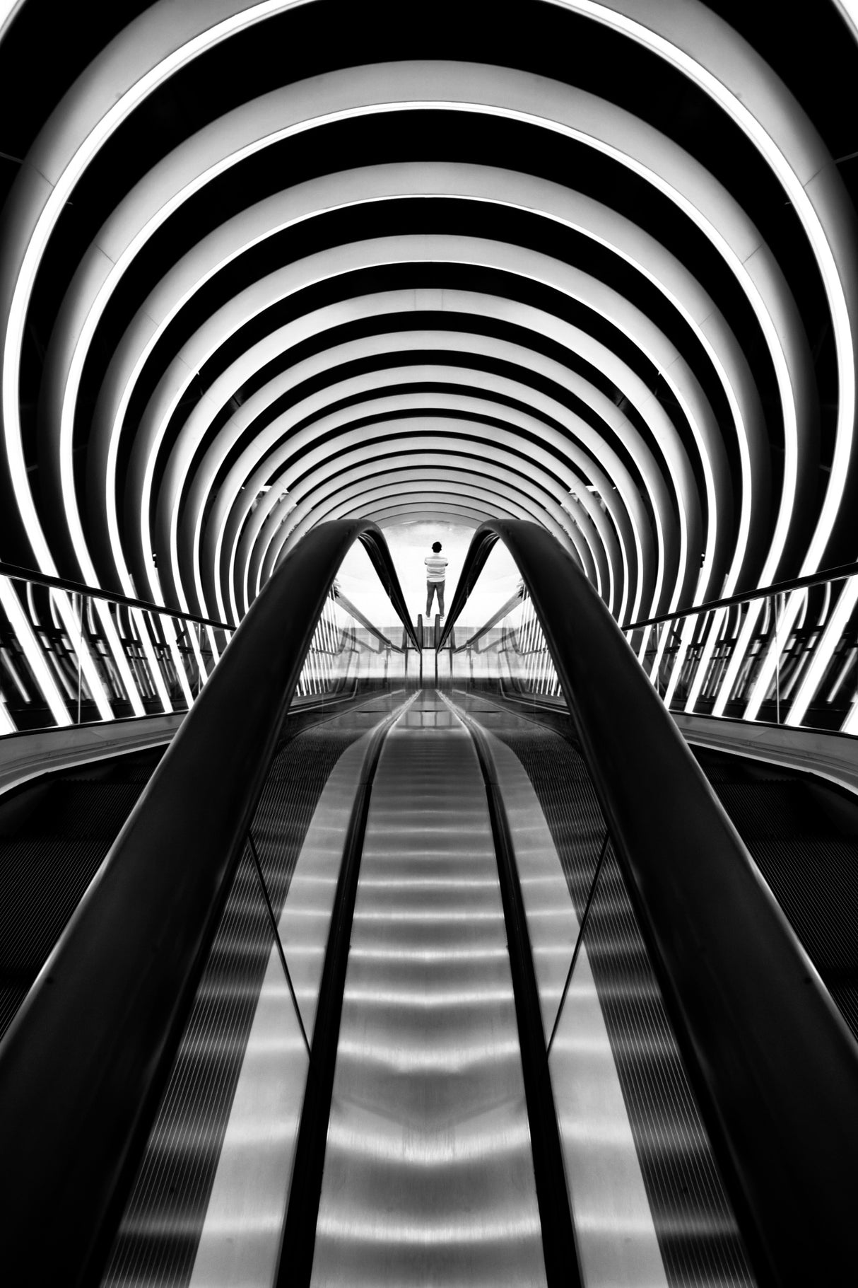 Tunnel Poster och Canvastavla