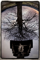 Between haeven and earth Poster och Canvastavla
