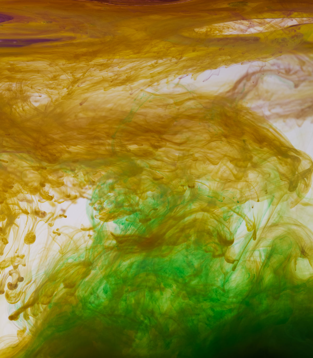 Acrylic colors and ink in water Poster och Canvastavla