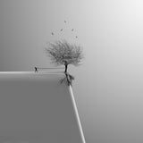 You are not alone Poster och Canvastavla