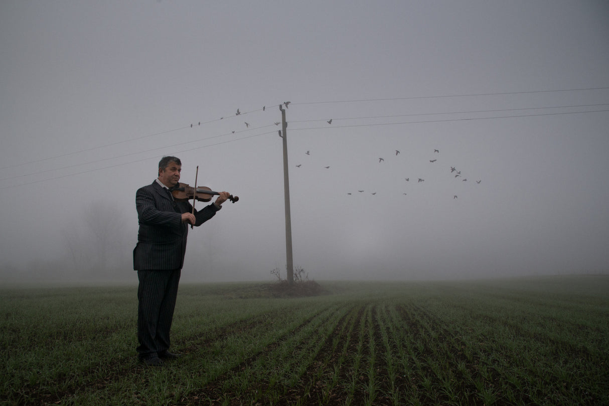 The violin teacher Poster och Canvastavla