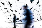 The Birds Poster och Canvastavla