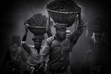 Coal carriers 6920 Poster och Canvastavla