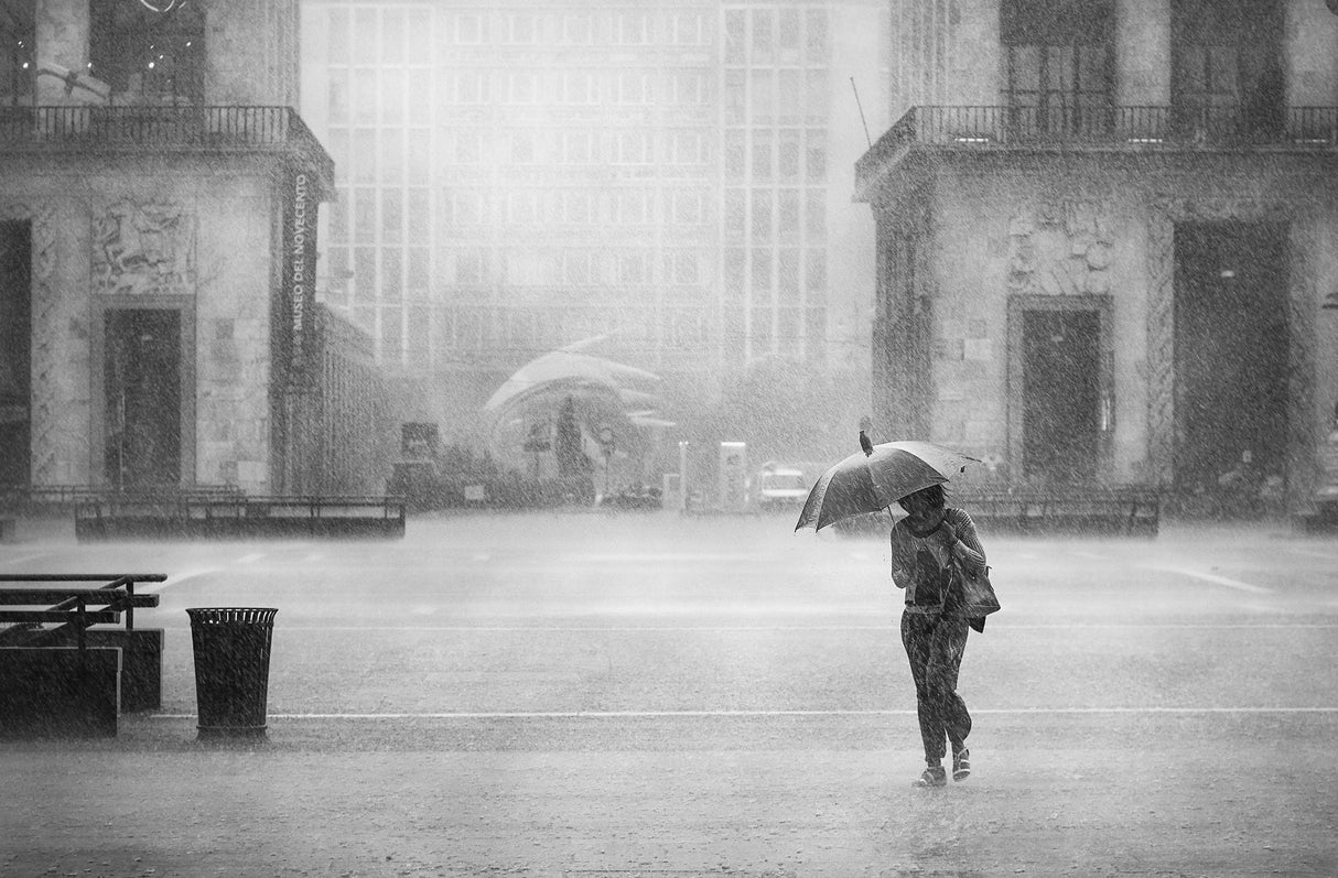 A Hard Rain’s A-Gonna Fall Poster och Canvastavla
