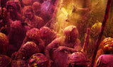 Colorful Life Poster och Canvastavla