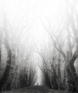 Let's find some place to get lost ... Poster och Canvastavla