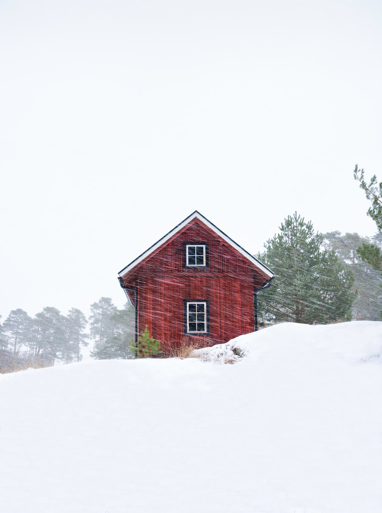 Old red house during snowstorm Poster och Canvastavla