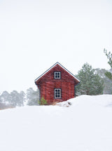 Old red house during snowstorm Poster och Canvastavla