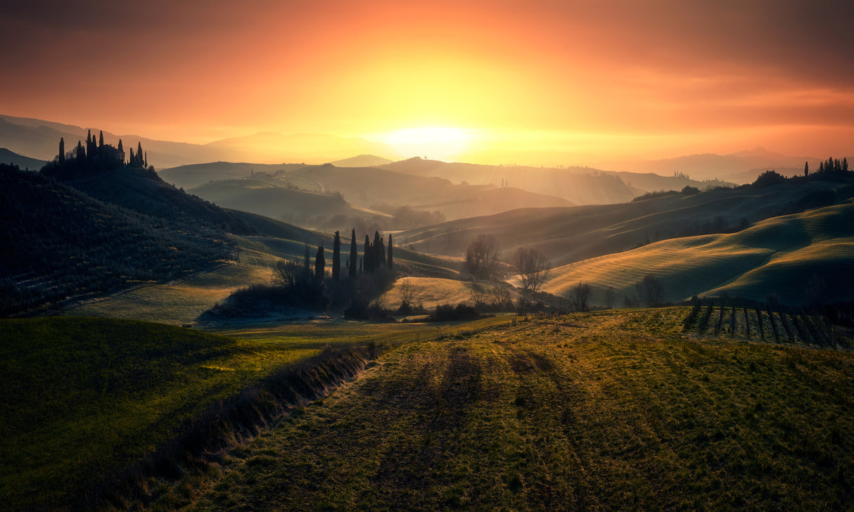 Val d'Orcia in the morning Poster och Canvastavla
