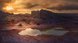 Golden dreams at White Pocket Poster och Canvastavla