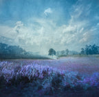 Purple Fields Poster och Canvastavla