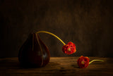 Ranunculus flower Poster och Canvastavla