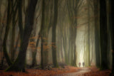 Walking in the forest of the dancing trees. Poster och Canvastavla