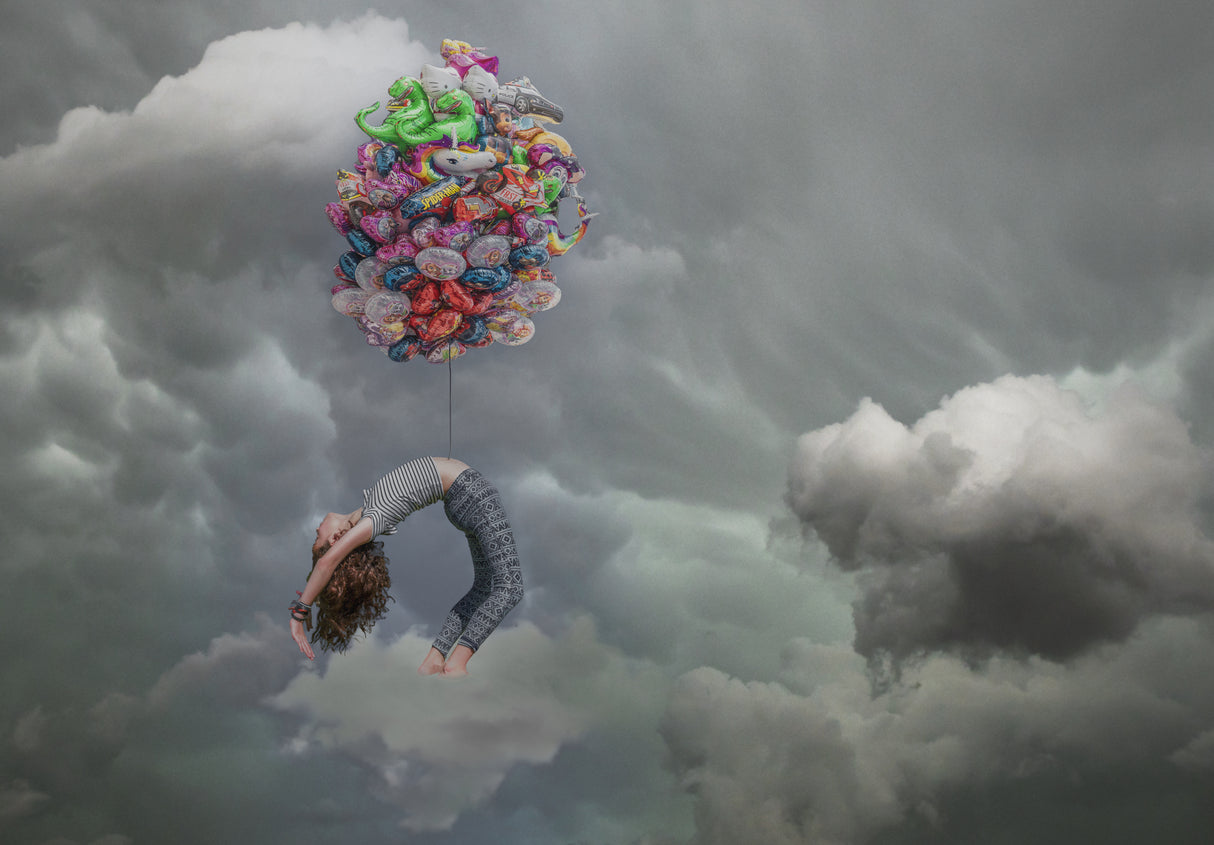 Loulou in the sky Poster och Canvastavla