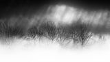 light and shadow Poster och Canvastavla