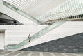 Liege Guillemins Poster och Canvastavla