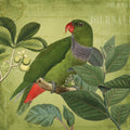 Bird Paradise Garden Ii Poster och Canvastavla