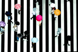 crossing Poster och Canvastavla