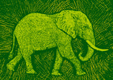 Africa Elephant texture pattern Poster och Canvastavla